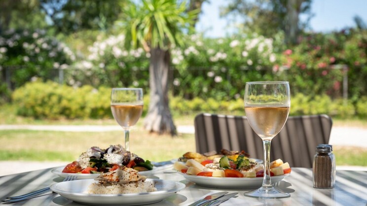 Canvas By Mitsis Messonghi